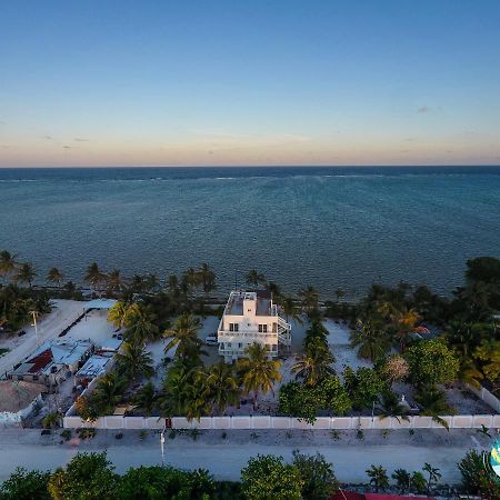 Caribbean Casa Blanca Lägenhet Xcalak Exteriör bild