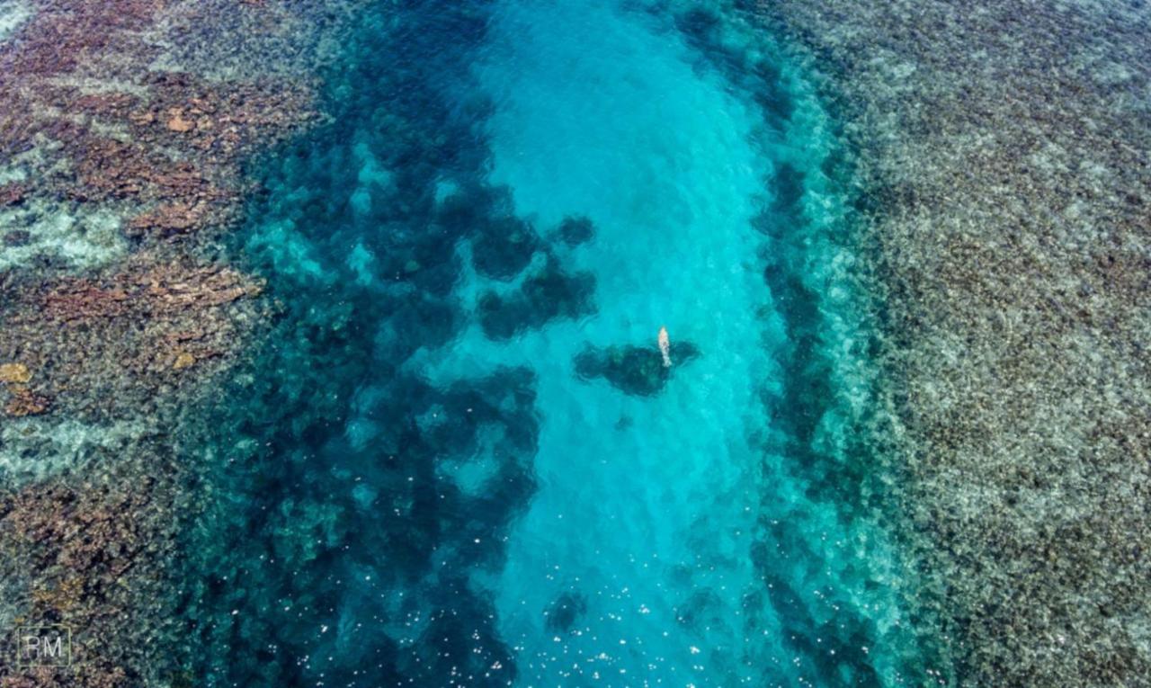 Caribbean Casa Blanca Lägenhet Xcalak Exteriör bild